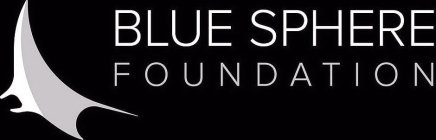 BLUE SPHERE FOUNDATION