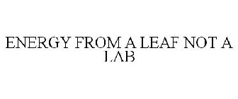 ENERGY FROM A LEAF NOT A LAB