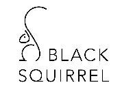 BLACK SQUIRREL