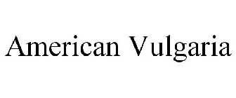 AMERICAN VULGARIA