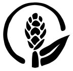 Image Trademark