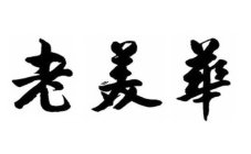 LAO MEI HUA IN CHINESE CHARACTERS