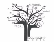 SOUL HEALTH MODEL INTELLECTUAL/OCCUPATIONAL ENVIRONMENTAL RECREATIONAL SEXUAL FINANCIAL SOCIAL INTERPERSONAL PSYCHOLOGICAL SPIRITUAL PHYSICAL