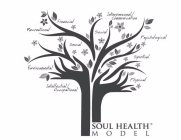 SOUL HEALTH MODEL INTELLECTUAL/OCCUPATIONAL ENVIRONMENTAL RECREATIONAL SEXUAL FINANCIAL SOCIAL INTERPERSONAL PSYCHOLOGICAL SPIRITUAL PHYSICALNAL ENVIRONMENTAL RECREATIONAL SEXUAL FINANCIAL SOCIAL INTE