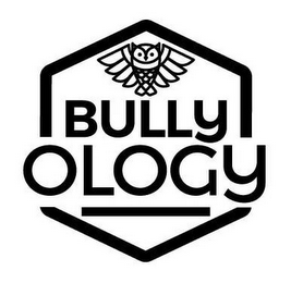 BULLYOLOGY