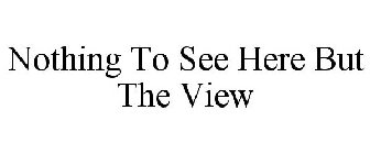 NOTHING TO SEE HERE BUT THE VIEW