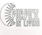 PURPOSE IN LIVING