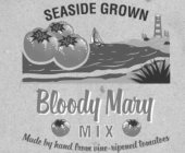 SEASIDE GROWN BLOODY MARY MIX MADE BY HAND FROM VINE-RIPENED TOMATOES