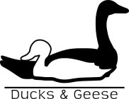 DUCKS & GEESE