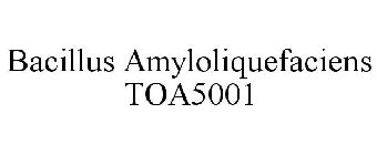 BACILLUS AMYLOLIQUEFACIENS TOA5001