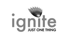 IGNITE JUST ONE THING