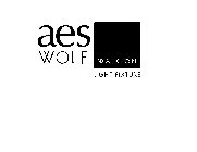AES WOLF WALK-ON LIGHT FIXTURE