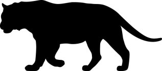 Image Trademark