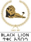 BLACK LION