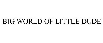 BIG WORLD OF LITTLE DUDE