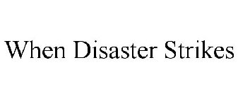 WHEN DISASTER STRIKES