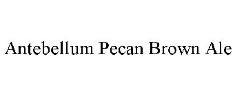 ANTEBELLUM PECAN BROWN ALE