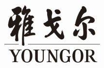 YOUNGOR