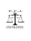 E.F.J. EYES FOR JUSTICE