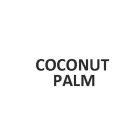 COCONUT PALM