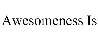 AWESOMENESS IS