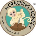 THE CRACKING MONKEY SPROUTED PILI NUTS IN SHELL