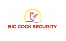 BIG COCK SECURITY
