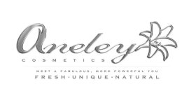 ANELEY COSMETICS MEET A FABULOUS, MORE POWERFUL YOU FRESH. UNIQUE. NATURAL