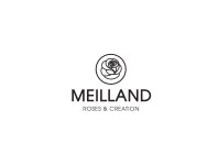 MEILLAND ROSES & CREATION