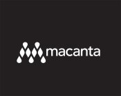 MACANTA