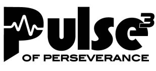PULSE OF PERSEVERANCE 3