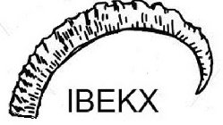 IBEKX