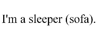 I'M A SLEEPER (SOFA).