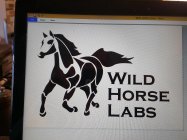 WILD HORSE LABS