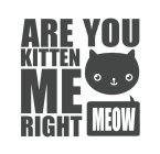 ARE YOU KITTEN ME RIGHT MEOW