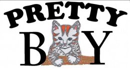PRETTY B (CAT) Y