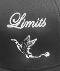 LIMITS