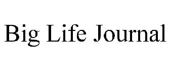 BIG LIFE JOURNAL