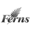 FERNS