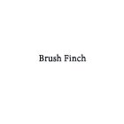 BRUSH FINCH