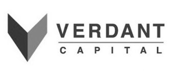 V VERDANT CAPITAL