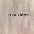 FELINE MEANS A CAT AND CHATEAU MEANS A MANOR HOUSE