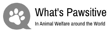 WHAT'S PAWSITIVE IN ANIMAL WELFARE AROUND THE WORLD
