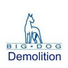BIG DOG DEMOLITION