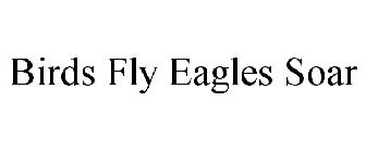 BIRDS FLY EAGLES SOAR