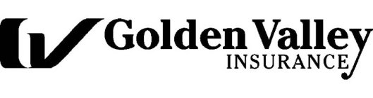 GOLDEN VALLEY INSURANCE