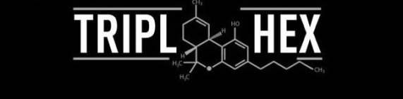 Image for trademark with serial number 87805559