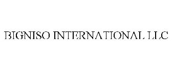 BIGNISO INTERNATIONAL LLC