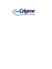 ONE CELGENE EMPOWER YOUR WORKDAY