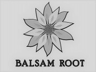 BALSAM ROOT